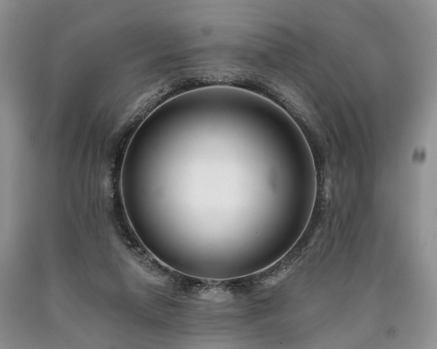 X0000090480258200707201422