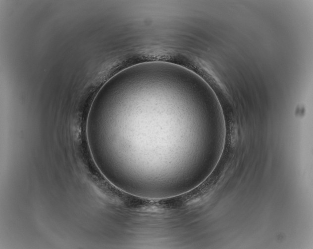 X0000090480259200707201422