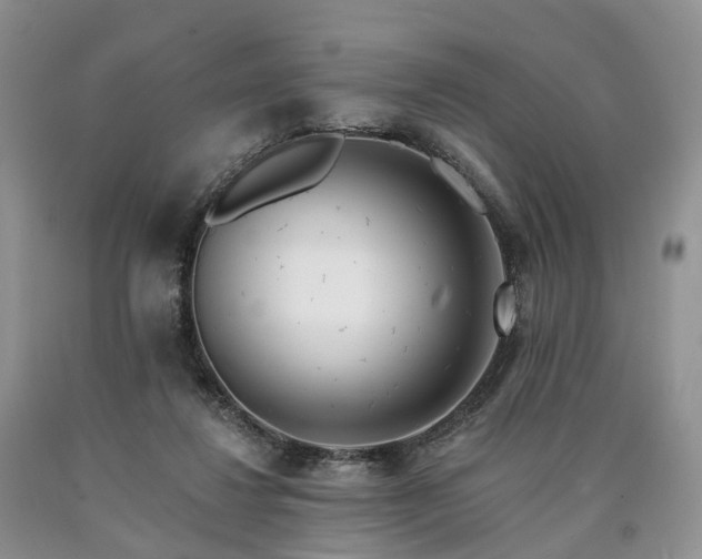 X0000090480260200707201422