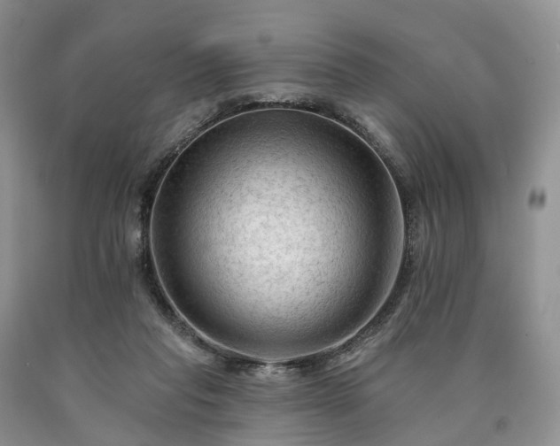 X0000090480261200707201422