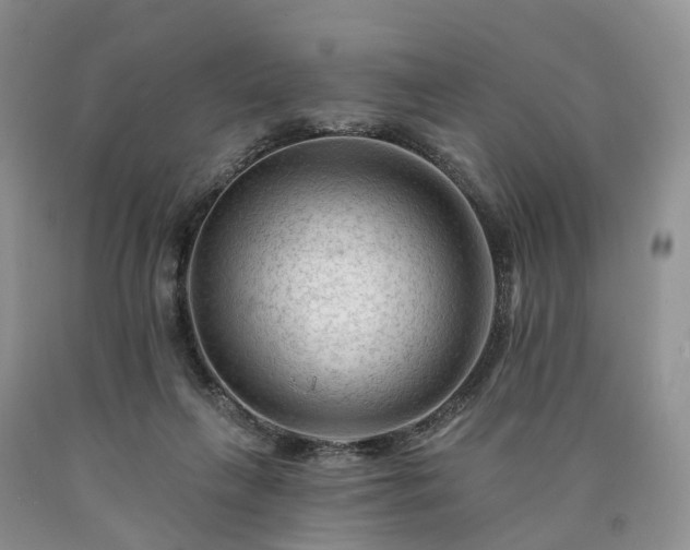 X0000090480263200707201422