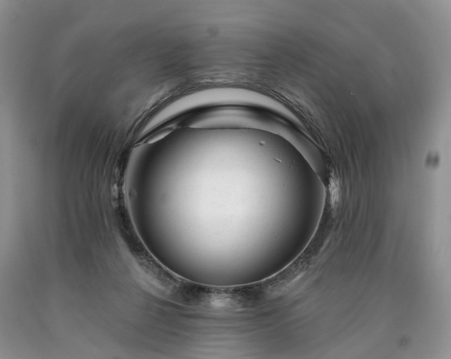 X0000090480264200707201422