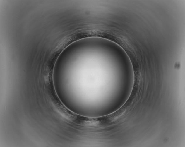 X0000090480266200707201422