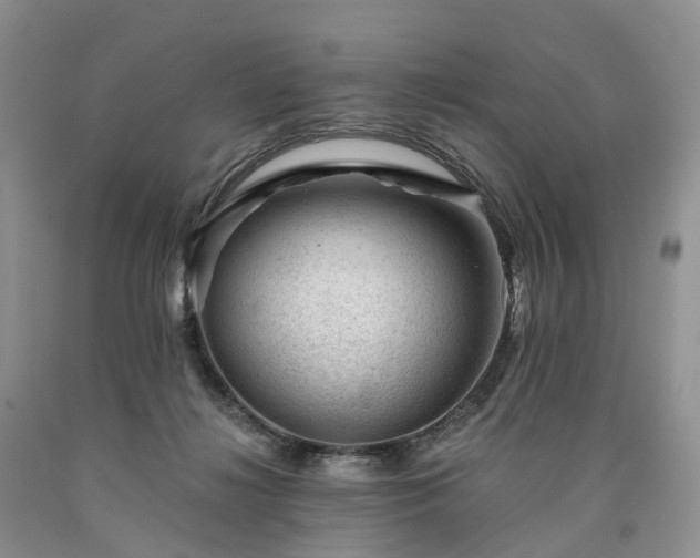 X0000090480268200707201422