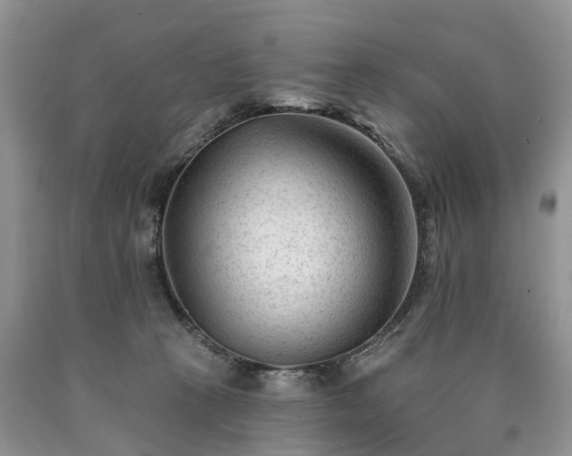 X0000090480273200707201422