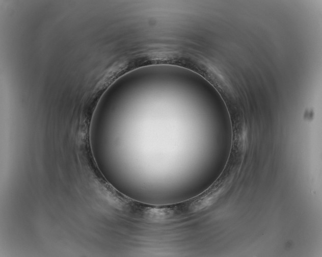 X0000090480277200707201422