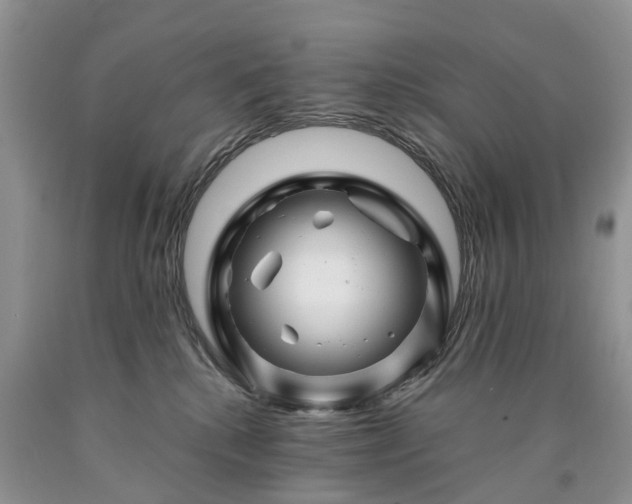 X0000090480280200707201422