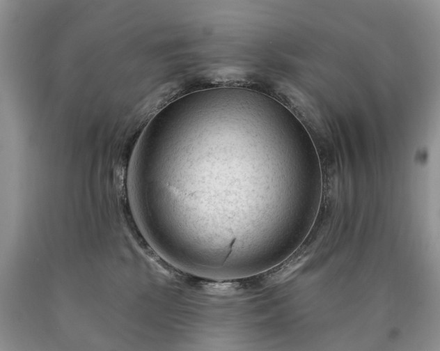 X0000090480281200707201422