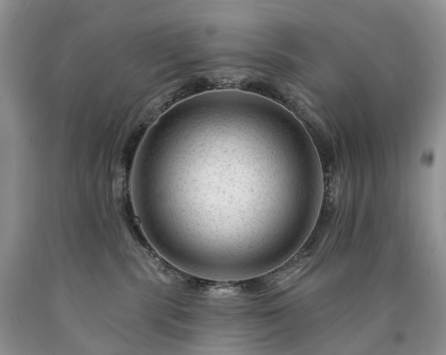 X0000090480283200707201422