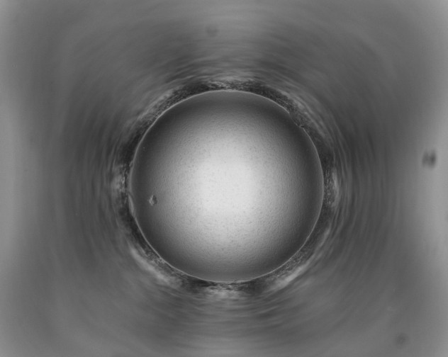 X0000090480284200707201422