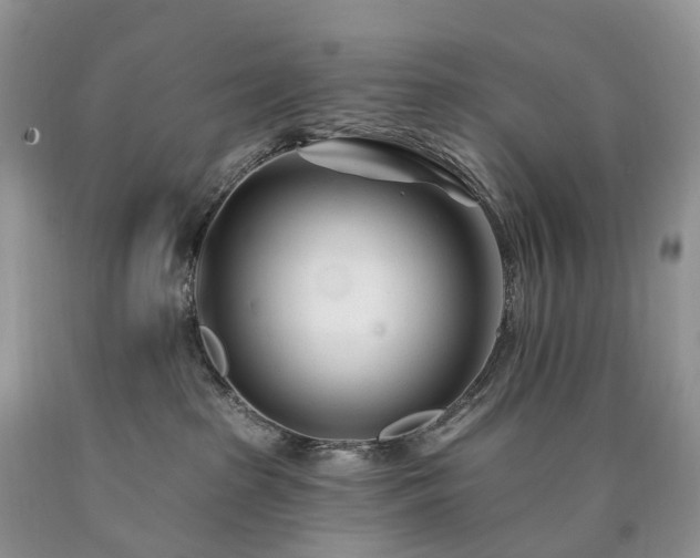 X0000090480285200707201422