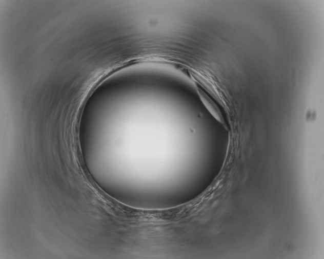 X0000090480289200707201421