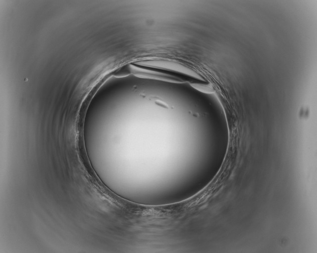 X0000090480290200707201421