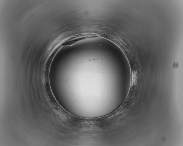 X0000090480291200707201421