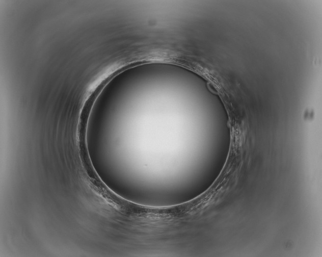 X0000090480292200707201421