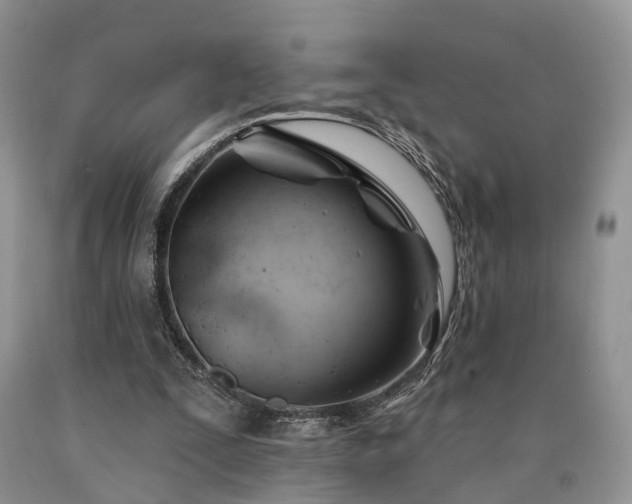 X0000090480295200707201421