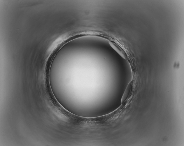 X0000090480296200707201421