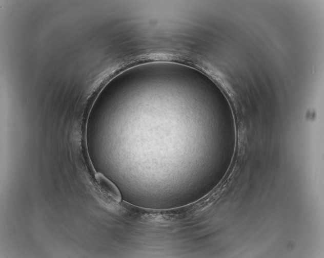 X0000090480297200707201421