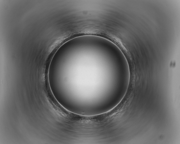 X0000090480299200707201421