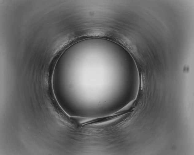 X0000090480300200707201421