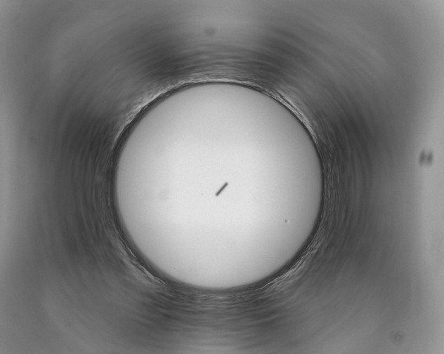 X0000090480301200707201421