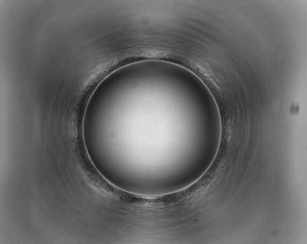 X0000090480303200707201421