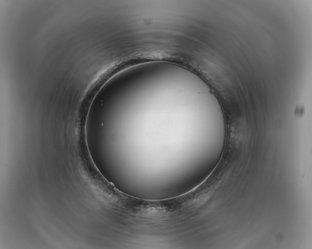 X0000090480304200707201421