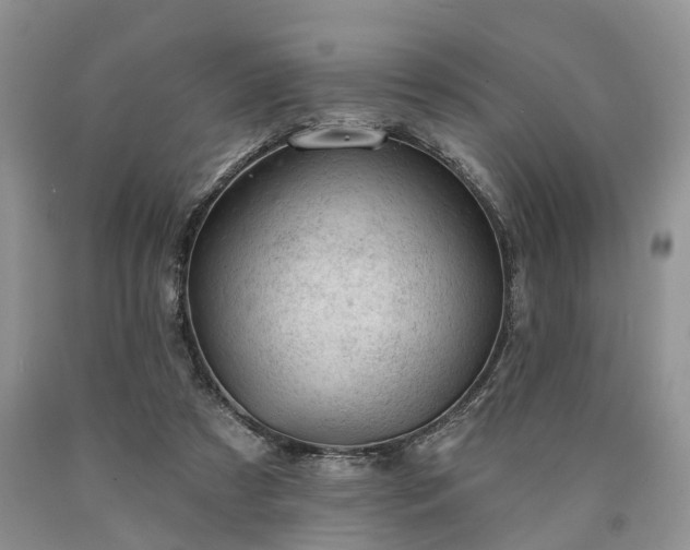 X0000090480305200707201421