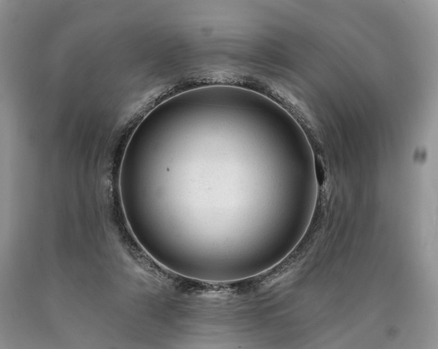 X0000090480306200707201421