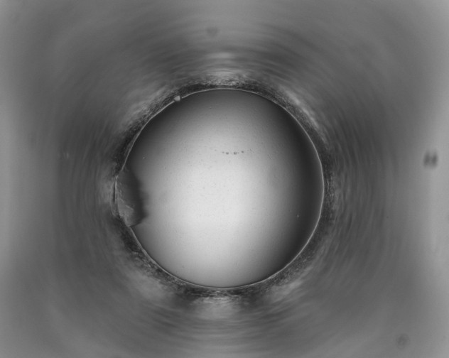 X0000090480307200707201421