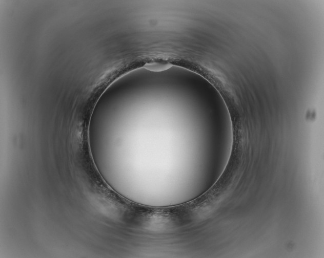 X0000090480308200707201421