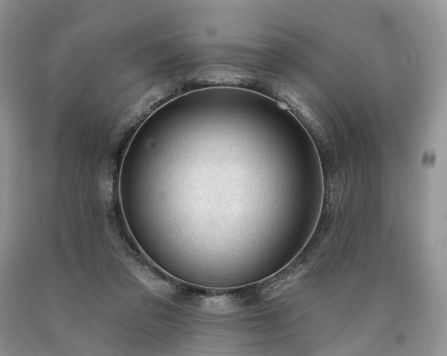 X0000090480309200707201421