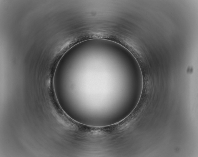 X0000090480310200707201421