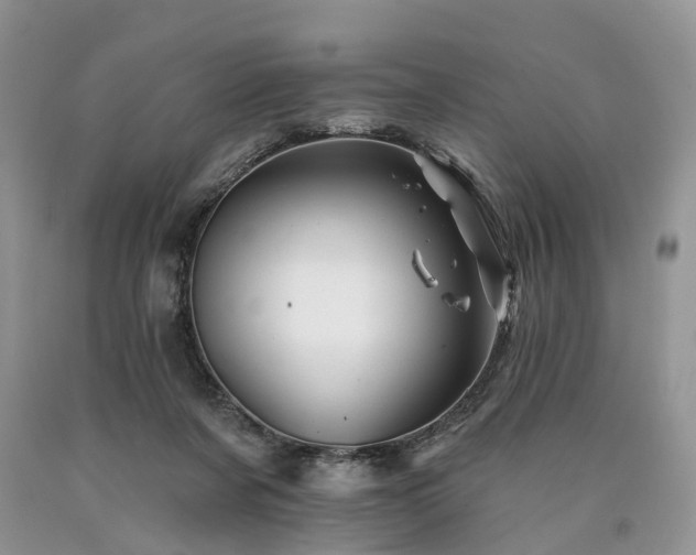 X0000090480311200707201421