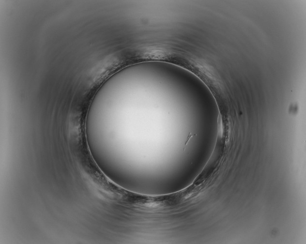 X0000090480312200707201421