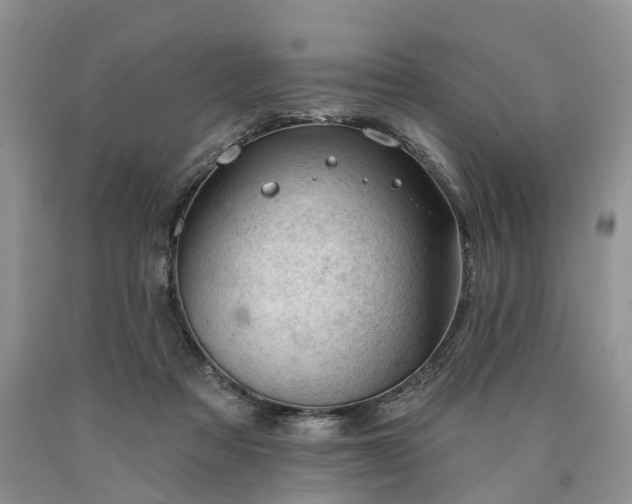 X0000090480313200707201421