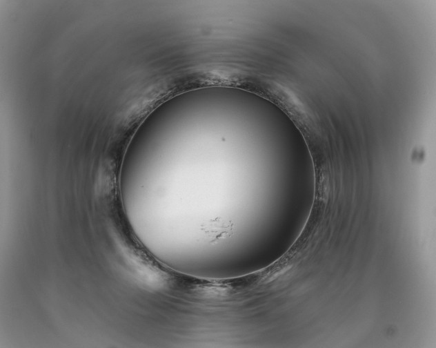X0000090480318200707201421