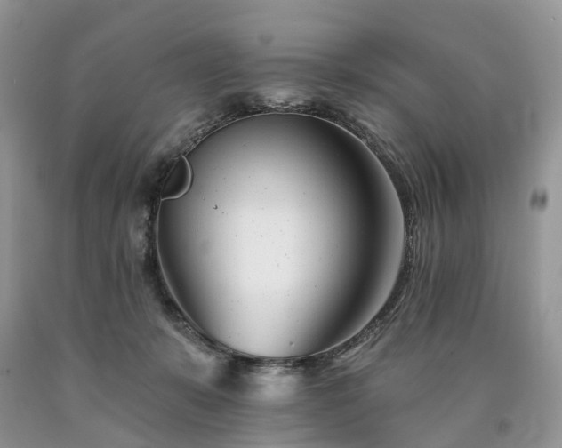 X0000090480319200707201421