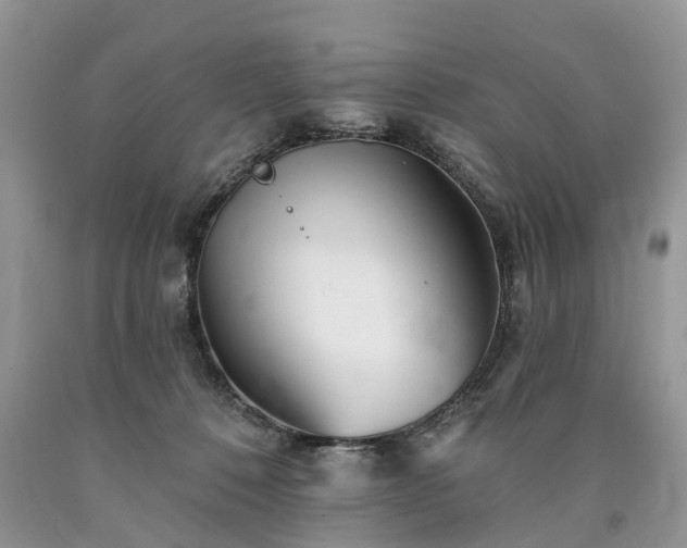 X0000090480320200707201421