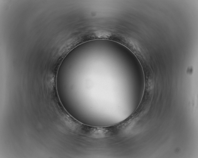 X0000090480321200707201421