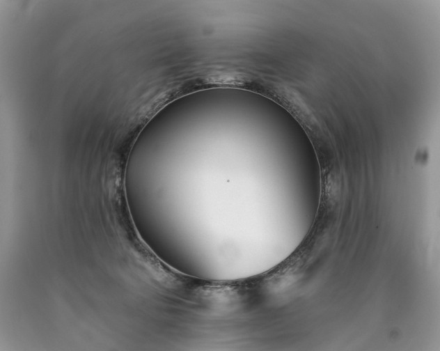 X0000090480322200707201421