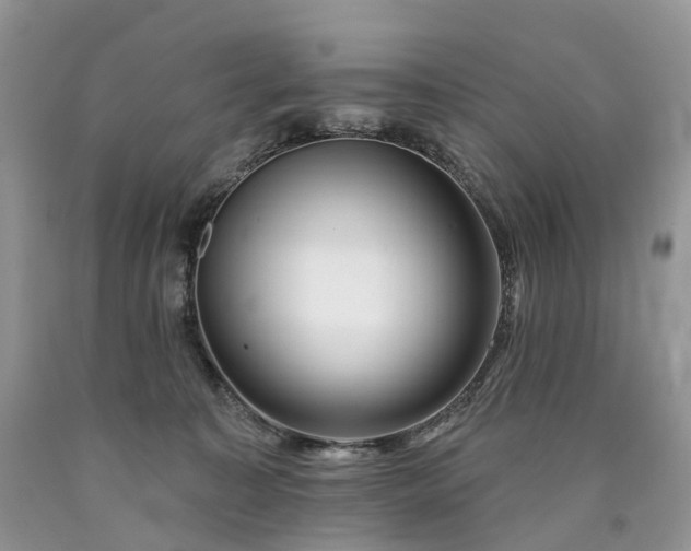 X0000090480323200707201421