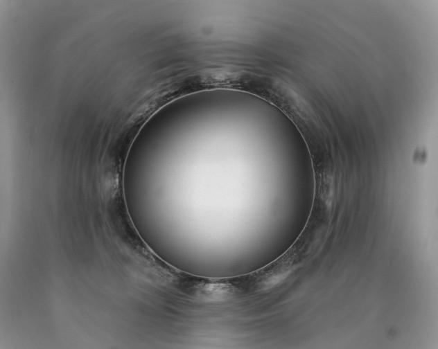 X0000090480324200707201421