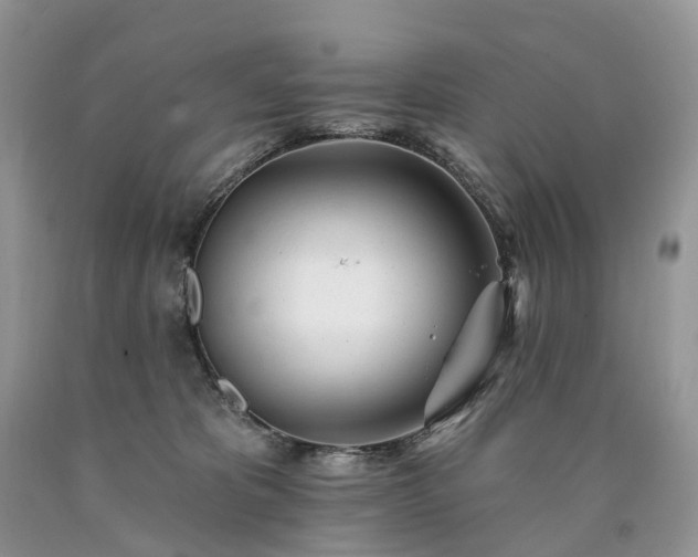 X0000090480325200707201421