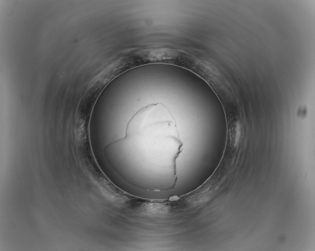 X0000090480327200707201421