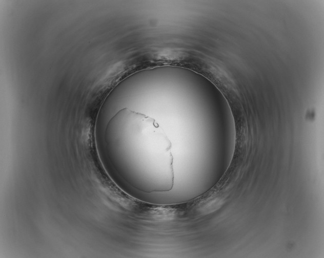 X0000090480328200707201421
