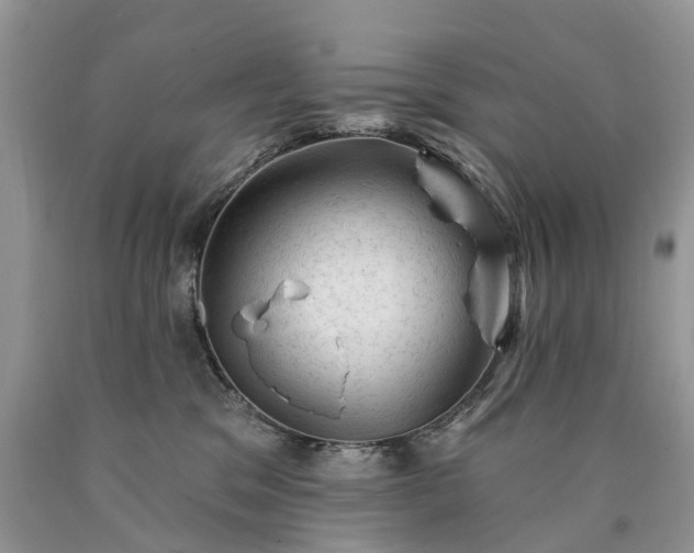 X0000090480329200707201421