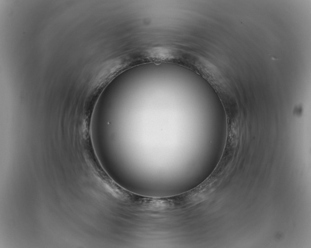X0000090480330200707201421
