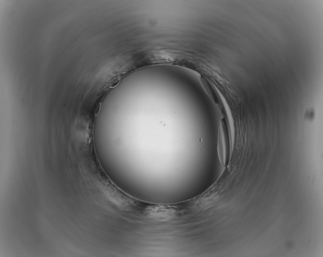 X0000090480331200707201421