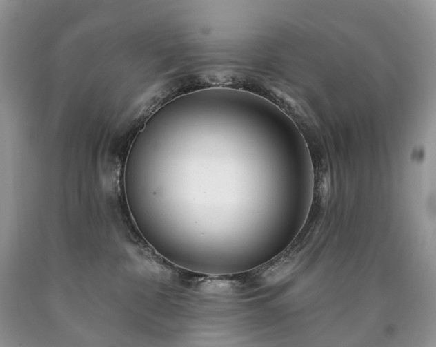 X0000090480332200707201421